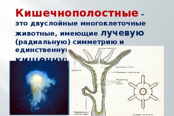 Кракен даркнет маркет ссылка тор