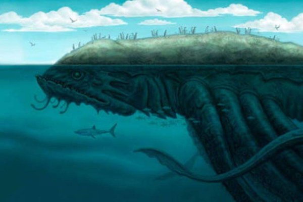 Kraken 25 at
