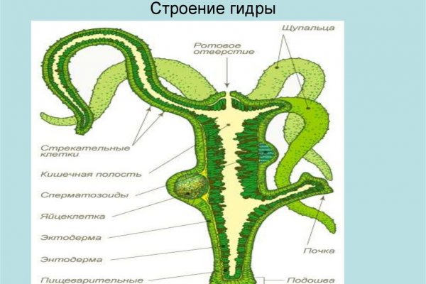 Kraken сайт kraken torion