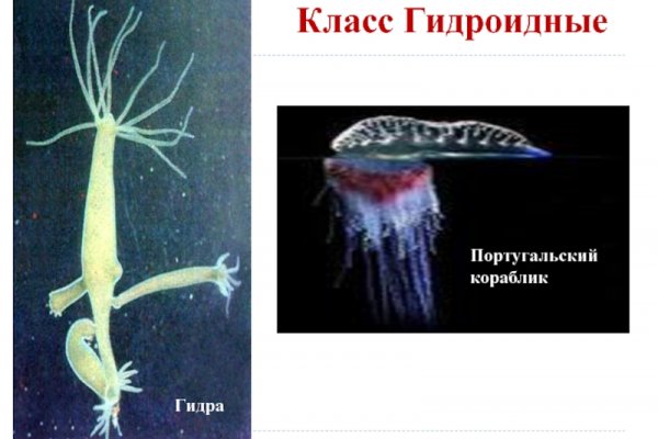 Ссылка на кракен kr2web in