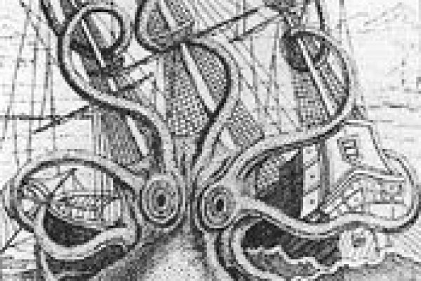Kraken новая ссылка
