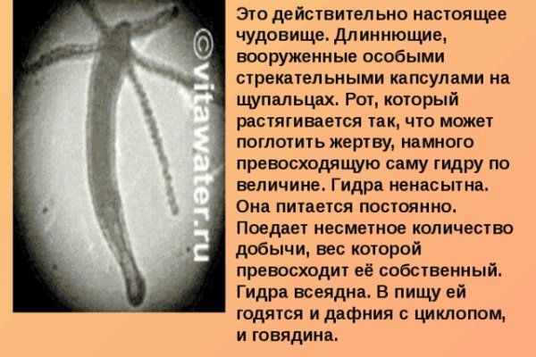 Кракен это наркота