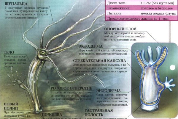 Кракен питер