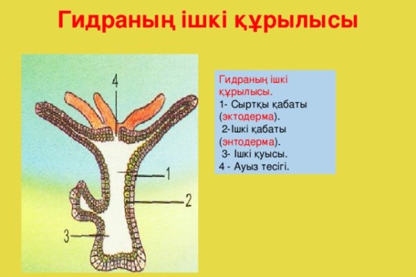 Кракен меф