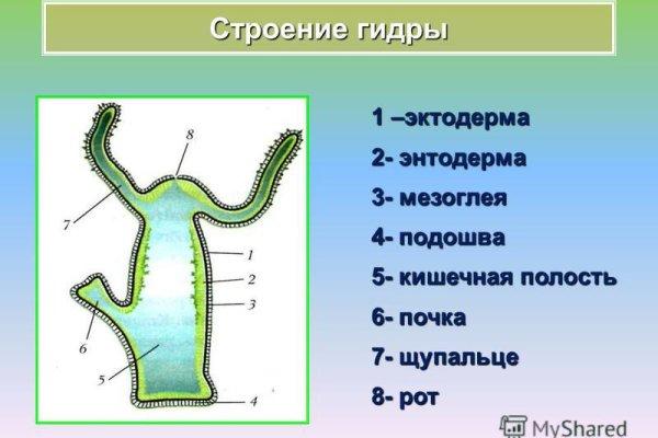 Кракен даркнет поддержка